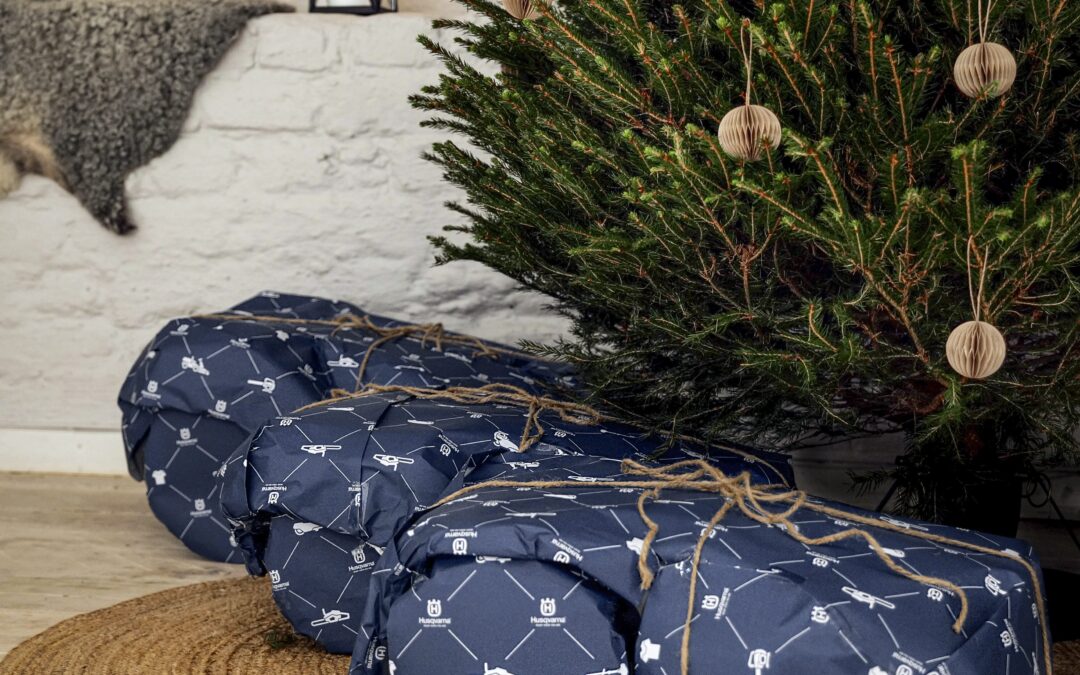 Põnevad ja praktilised jõulukingi ideed Reginetist 🎁🎄