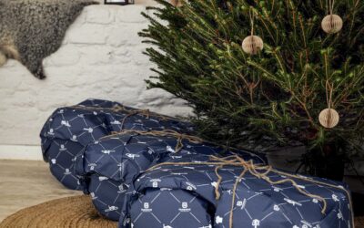 Põnevad ja praktilised jõulukingi ideed Reginetist 🎁🎄