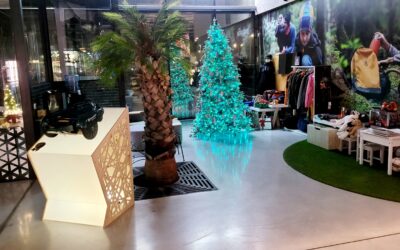 Jõulud Reginetis🎄